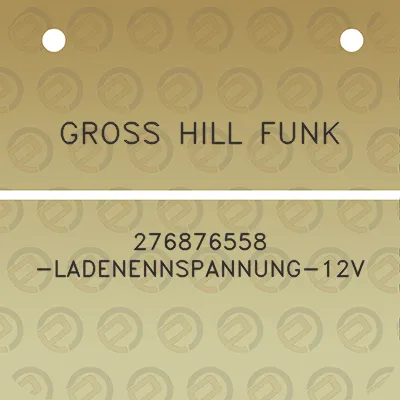 gross-hill-funk-276876558-ladenennspannung-12v