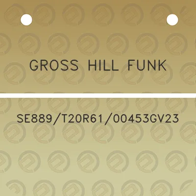 gross-hill-funk-se889t20r6100453gv23