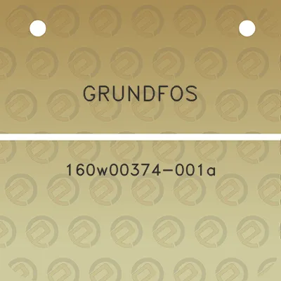 grundfos-160w00374-001a