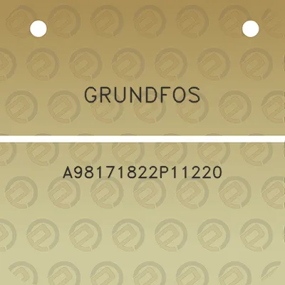 grundfos-a98171822p11220