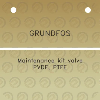 grundfos-maintenance-kit-valve-pvdf-ptfe