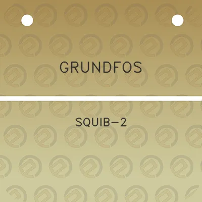 grundfos-squib-2