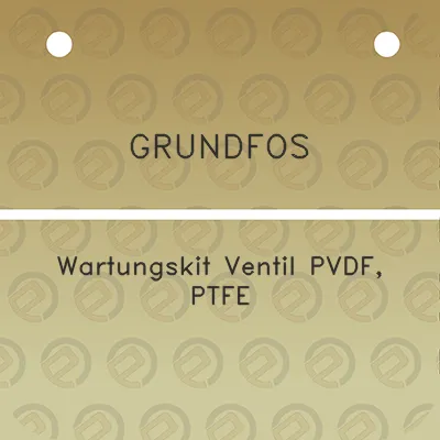 grundfos-wartungskit-ventil-pvdf-ptfe