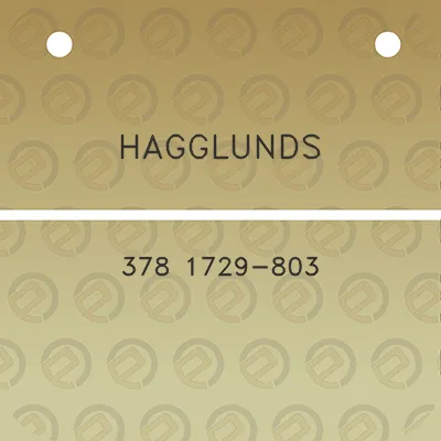 hagglunds-378-1729-803