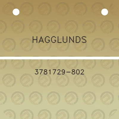 hagglunds-3781729-802