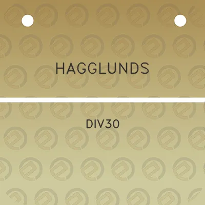 hagglunds-div30