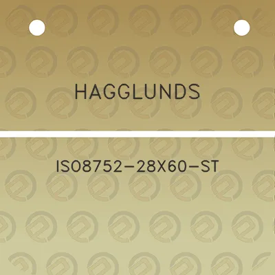 hagglunds-iso8752-28x60-st