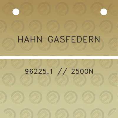 hahn-gasfedern-962251-2500n