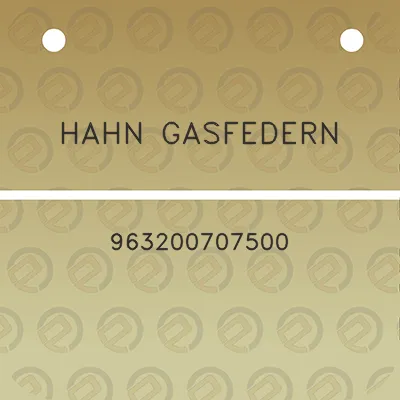 hahn-gasfedern-963200707500