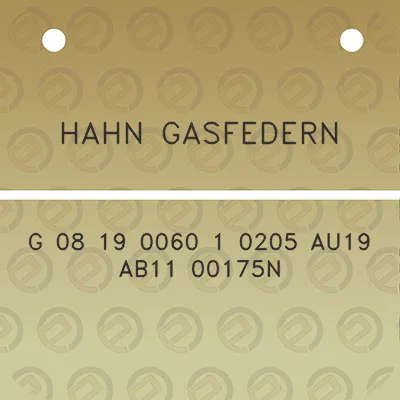 hahn-gasfedern-g-08-19-0060-1-0205-au19-ab11-00175n