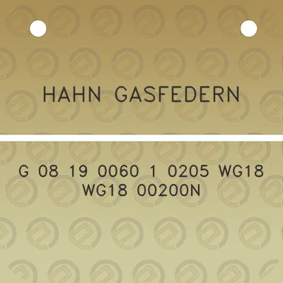 hahn-gasfedern-g-08-19-0060-1-0205-wg18-wg18-00200n