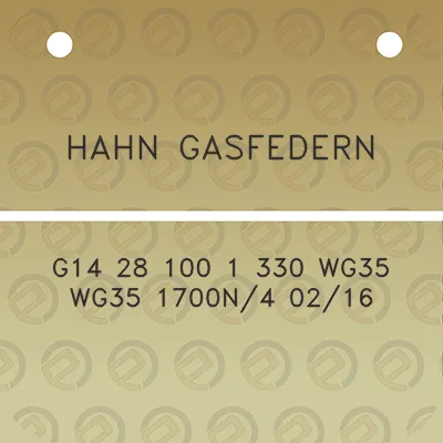 hahn-gasfedern-g14-28-100-1-330-wg35-wg35-1700n4-0216