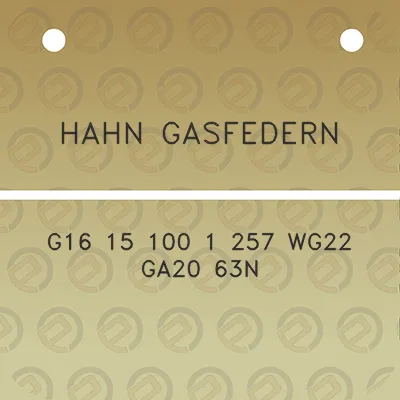 hahn-gasfedern-g16-15-100-1-257-wg22-ga20-63n