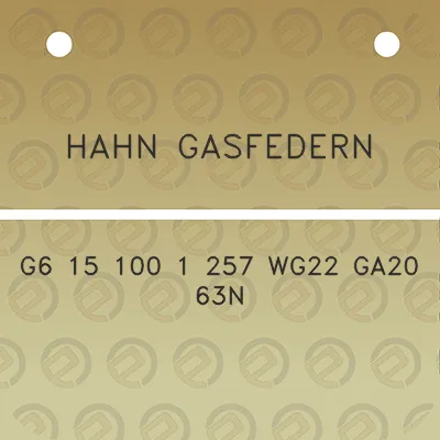 hahn-gasfedern-g6-15-100-1-257-wg22-ga20-63n