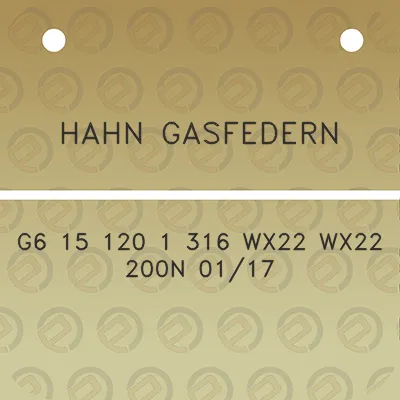 hahn-gasfedern-g6-15-120-1-316-wx22-wx22-200n-0117