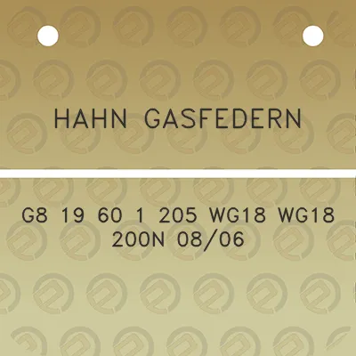 hahn-gasfedern-g8-19-60-1-205-wg18-wg18-200n-0806