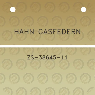 hahn-gasfedern-zs-38645-11