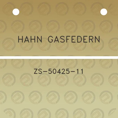 hahn-gasfedern-zs-50425-11