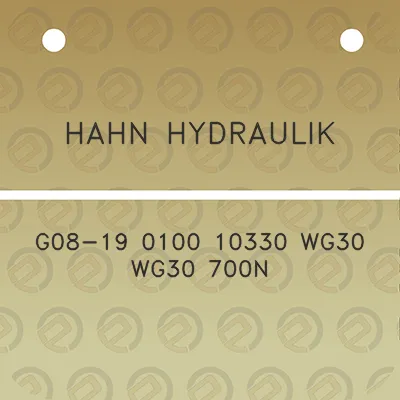 hahn-hydraulik-g08-19-0100-10330-wg30-wg30-700n