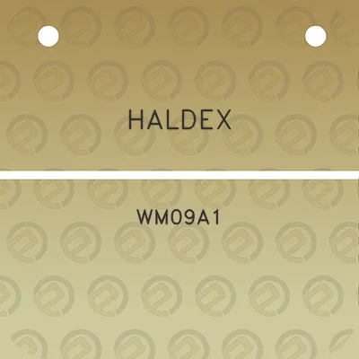 haldex-wm09a1