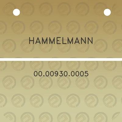 hammelmann-00009300005