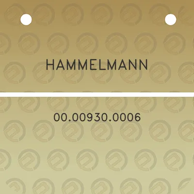 hammelmann-00009300006