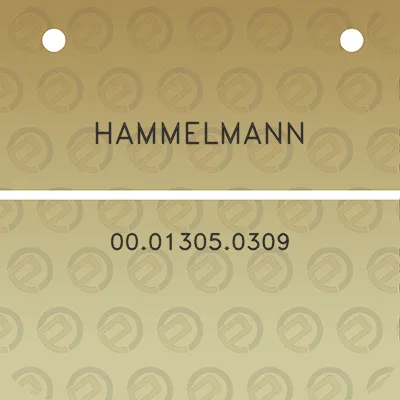 hammelmann-00013050309