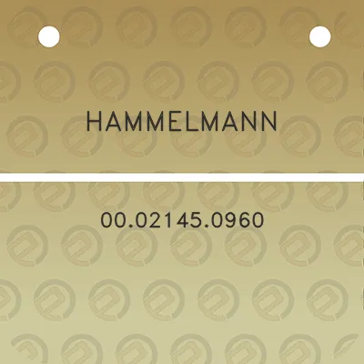 hammelmann-00021450960