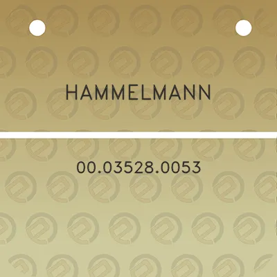 hammelmann-00035280053