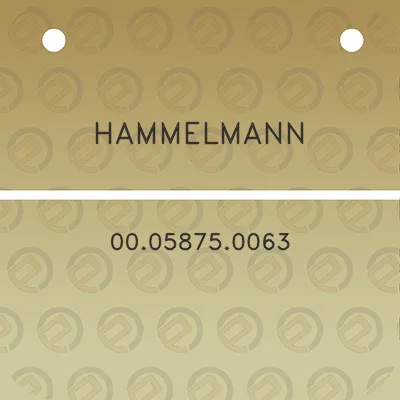 hammelmann-00058750063