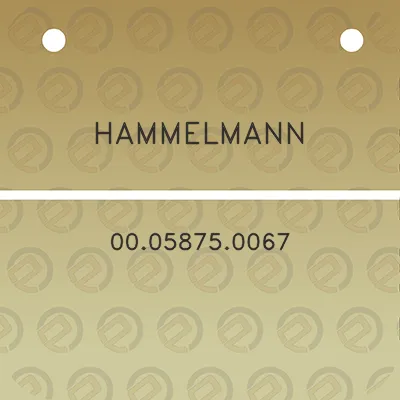 hammelmann-00058750067