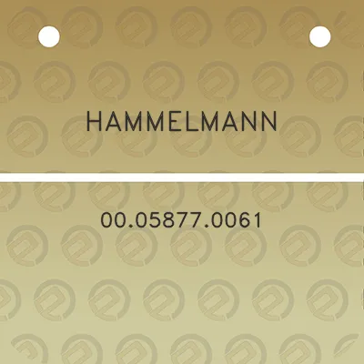 hammelmann-00058770061