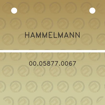 hammelmann-00058770067