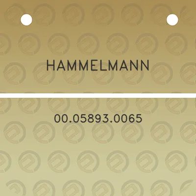 hammelmann-00058930065