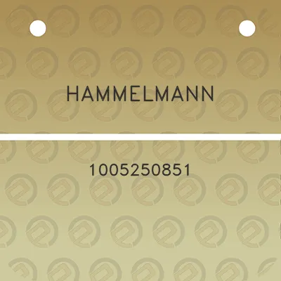 hammelmann-1005250851