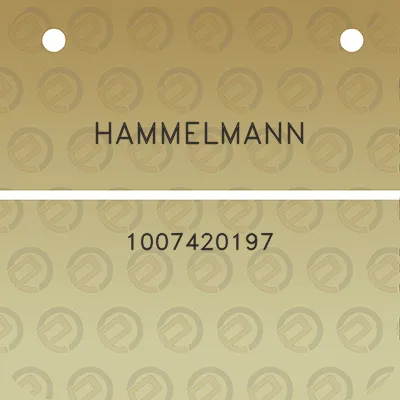 hammelmann-1007420197