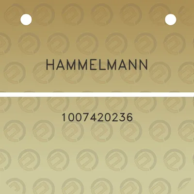 hammelmann-1007420236