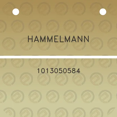 hammelmann-1013050584