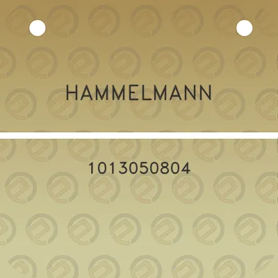 hammelmann-1013050804