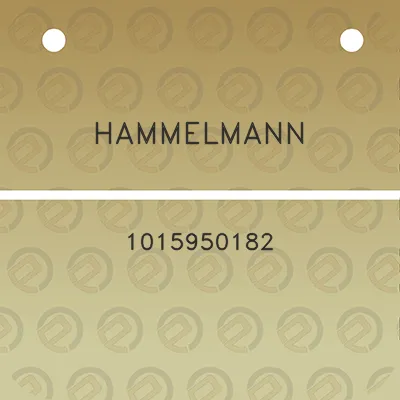 hammelmann-1015950182