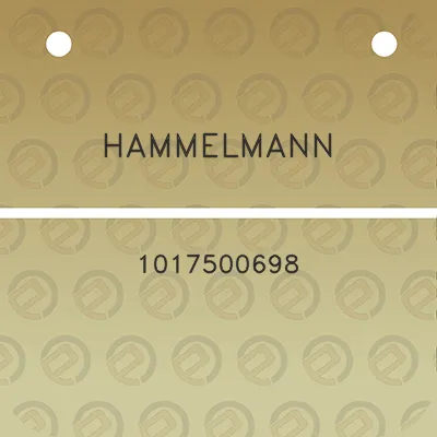 hammelmann-1017500698