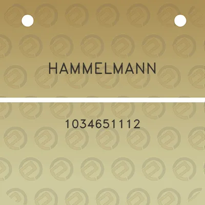 hammelmann-1034651112