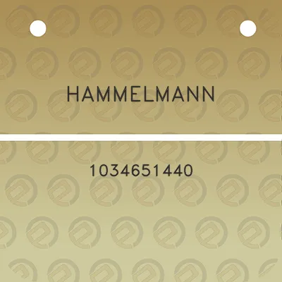 hammelmann-1034651440