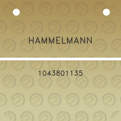 hammelmann-1043801135