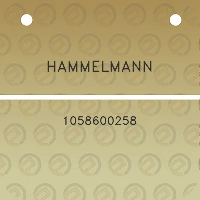 hammelmann-1058600258