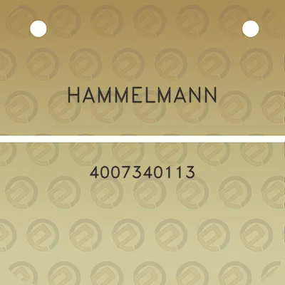 hammelmann-4007340113