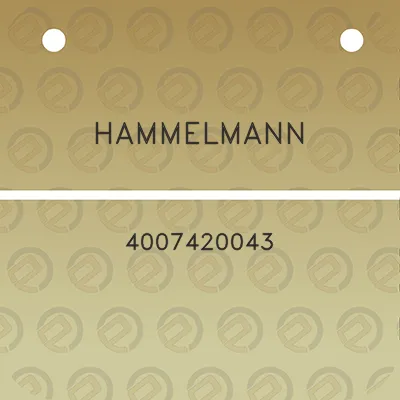 hammelmann-4007420043