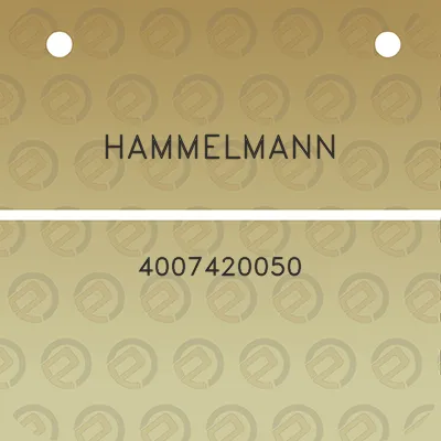 hammelmann-4007420050