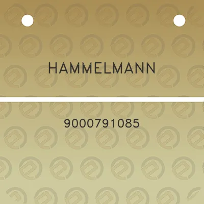 hammelmann-9000791085