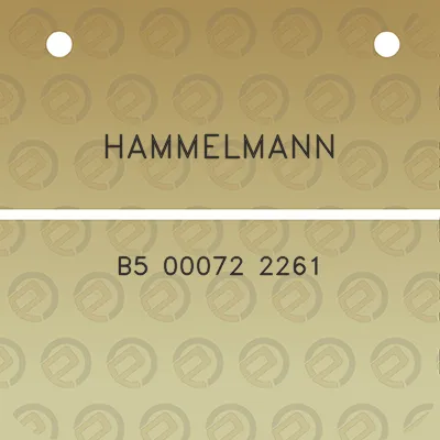 hammelmann-b5-00072-2261